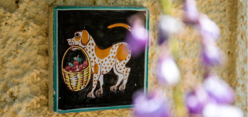 Alloggio Per Uso Turistico Sant'Andrea Lariano エクステリア 写真